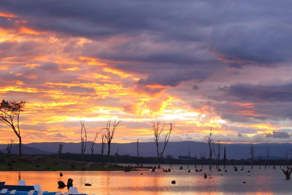 Sunset Boat Cruises